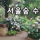 서울숲길 이미지