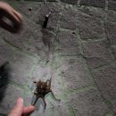 황토부자 이미지