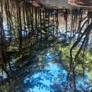 우장산둘레길 이미지