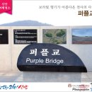 유성모텔 | 신안 가볼만한 곳 안좌도 ‘천사의 다리 퍼플교’ 아름다운 섬으로 여행 떠나보고서!