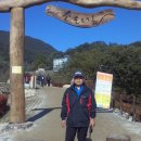 해인사 소리길 이미지