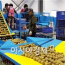 골드유통센터