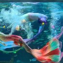 아쿠아빌딩 이미지