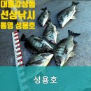 성용호 - 2302 | 성용호