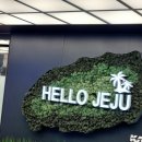 제주종합경기장 실내수영장 | 제주도 자유수영 제주종합경기장 실내수영장 방문 후기