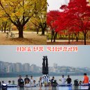 뚝섬한강공원-100 이미지