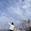 맘씨좋은커피 | 남양주 운길산 대중교통 후기 등린이추천 운길산등산코스 수종사 남한강 두물머리 카페추천