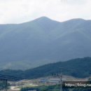 모화1리 이미지