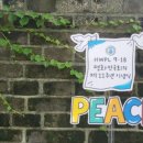 세계시민교육지도자 이미지