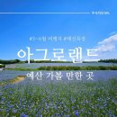 태신농장 | [예산]5~6월 가볼 만한 곳 아그로랜드 태신목장 후기,수레국화, 동물농장, 노란문, 청보리밭