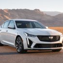 코리아윙카 이미지