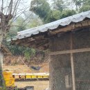 꿀벌주유소 세차장 | 꿀벌의 비행(非行)