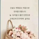 밤새 쏟아지는 수요일 장마에 비 피해없으시길~! 습도가 높으니 건강 챙기시길요 💌💫 이미지