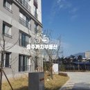 두진키즈