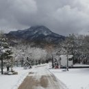 도마치 캠핑장 이미지