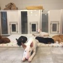 달중이네 이미지