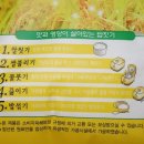 안계합동미곡종합처리장 이미지