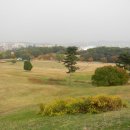 토성농장 이미지