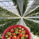 영원농장 이미지