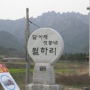 월출산방 이미지