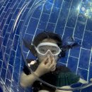 스테이 밤부2 | 경주 독채 풀빌라 스테이밤부 경주 가족여행 숙소 추천