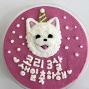 댕글로리 이미지