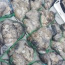 선단체육문화센터 이미지