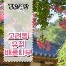 모곡마을 | 경남 배롱나무 꽃 명소, 함안 고려동 유적 분홍빛 만개