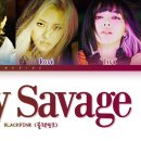 Black Pingk 블랙핑크 Pretty Savage Lyrics Color Coded Lyrics 이미지