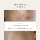 피움테라피
