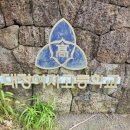 모이세해장국모슬포점 이미지