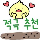 리츠펫 동탄능동점 이미지