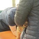 수원종합동물병원 이미지