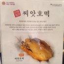 월드 씨앗몰