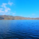 낭만 Dog 이미지