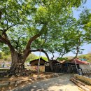 대전1리 경로당 이미지