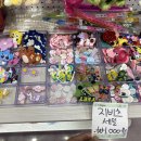미스엘라 이미지