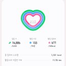 일번지 민박 | [통영/비진도] 비진도 트레킹(통영항에서 비진도 배편, 예약, 금액/코스 추천, 준비물, 소요시간/충무...