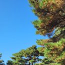 부산공업고등학교 이미지