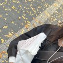 포닐