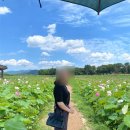 더케이호텔경주 이미지