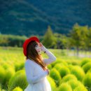 황산공원 캠핑장 3번 이미지