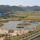 강진호수공원캠핑장 이미지