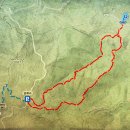 2024년 06월 15일 - Buck Hollow Trail / Buck Ridge Trail Loop (Byrd's Nest #3) 이미지