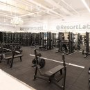 스파렉스 이미지