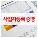 주정차 단속 - 003 티스토리