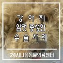 다나음동물병원 이미지