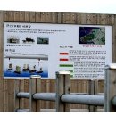 변산파크장 네이버블로그