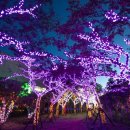 테마파크 이미지