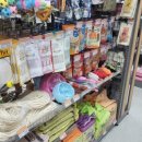 멍냥&꽁냥 이미지